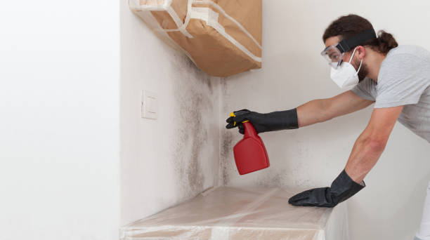 Professional Bathroom Mold Removal technician working in Jefferson, OR