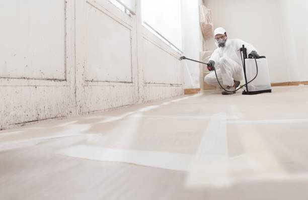 24/7 Emergency Bathroom Mold Removal experts in Jefferson, OR